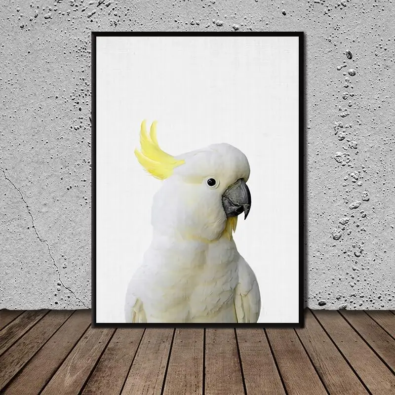 

Sulfur Reinforced Cockatoo Poster Wall Art Canvas Painting Poster and Pictures for Office Hospital Living Room Bedroom Dcor