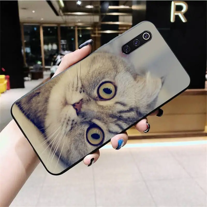 

PENGHUWAN Scottish fold cat Customer Phone Case for Xiaomi Mi10 10Pro 10 lite Mi9 9SE 8SE Pocophone F1 Mi8 Lite