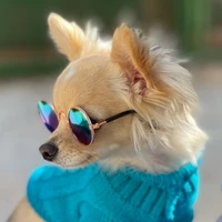 for dogs cats pet accessories glasses sunglasses harness accessory petty products decorations lenses gadgets goods for animals