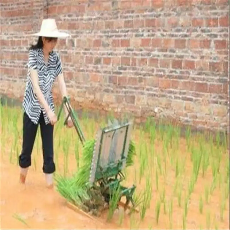 

Rice transplanter, hand-operated rice, new two-row rice transplanter, small seeder, planting machine, agricultural machinery
