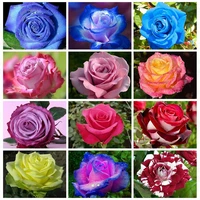 diamond painting new flower square diamond embroidery cross stitch rose pictures of rhinestones mosaic decor for home