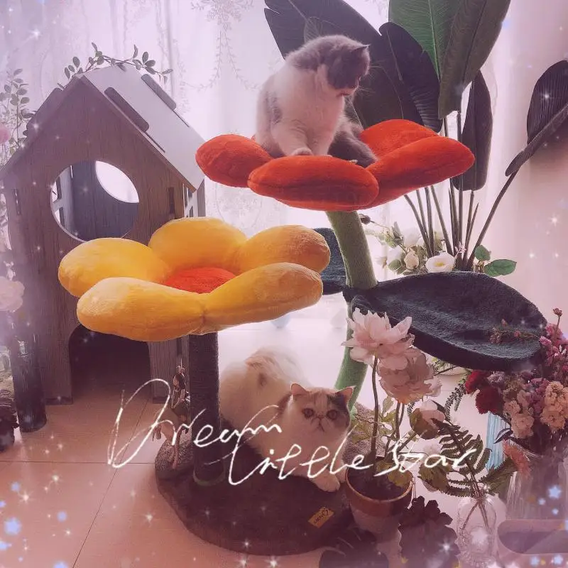 Счастье котенка как цветок ~ Керри цветной кошка рамка для скалолазания игрушка