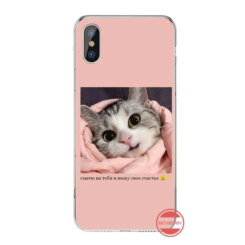 

Aesthetic cute cat animal Phone Case For iphone 12 5 5s 5c se 6 6s 7 8 plus x xs xr 11 pro max mini