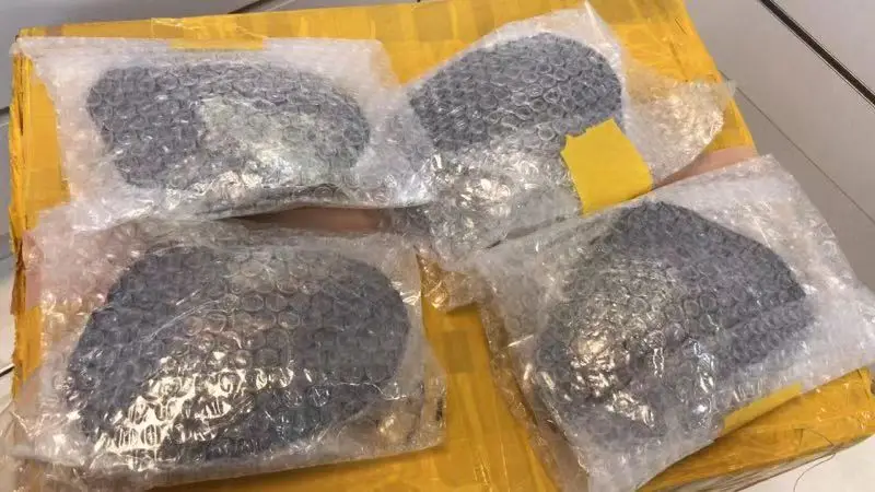 DMKB0055 Большая Вакуумная посылка бусины из натурального пресноводного жемчужная Мидия в виде ракушки Сюрприз подарок