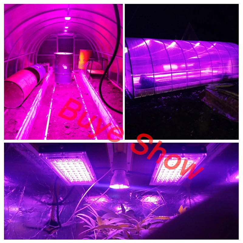 

LED Grow Light AC220V 50W 100W LED Full Spectrum Phyto Lamp For Plants Greenhouse Hydroponic Growth Plants Lamp Lighting