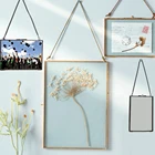 Двухсторонняя стеклянная рамка для фотографий, настенная рамка с цветами и образец растения, 1 шт.