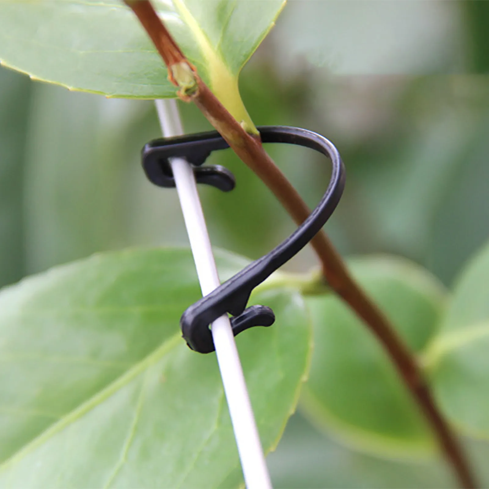 

100pcs Durable Plastic Plant Tomato Support Clip Hook Grapes Connects Vines Trellis Fastener Gardening Cable Farming Bundle Wire
