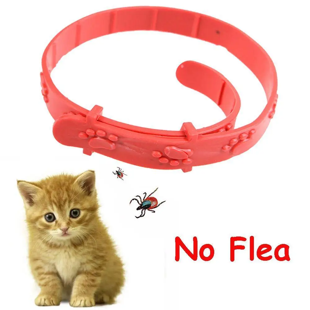 

Hot Sale Cat Anti Flea Mite Tick Collar No Flea Grooming Tool kitten Remedy Neck Strap Pet Collar