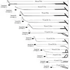 Инструмент GLCC PDR, черный крючок, стержни для ремонта кузова, набор инструментов, стержни с крючками, для профессионального ремонта вмятин без покраски кузова автомобиля