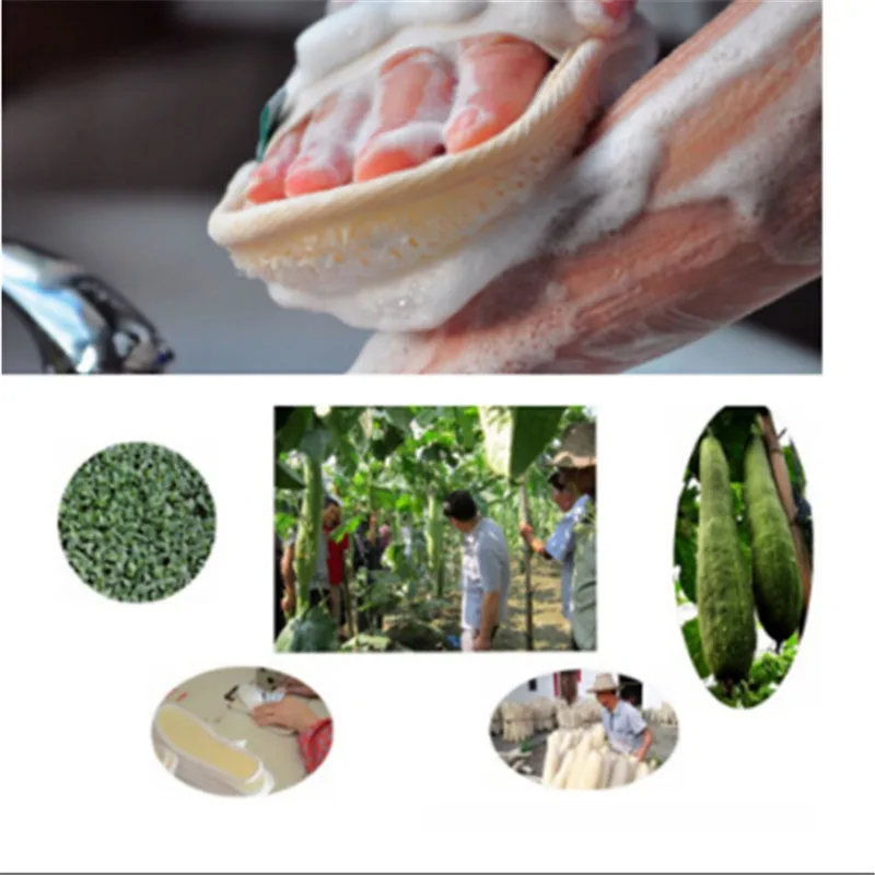 

1Pc Natural Effective Exfoliator Bath Brush Massager Shower Loofah Luffa Back Spa Sponge Bathroom Storage Tool