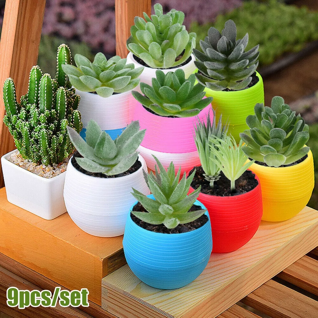 

9pcs/set Simulation Succulents Potless Miniature Fake Plants Ecological Green Landscape Home Decoration