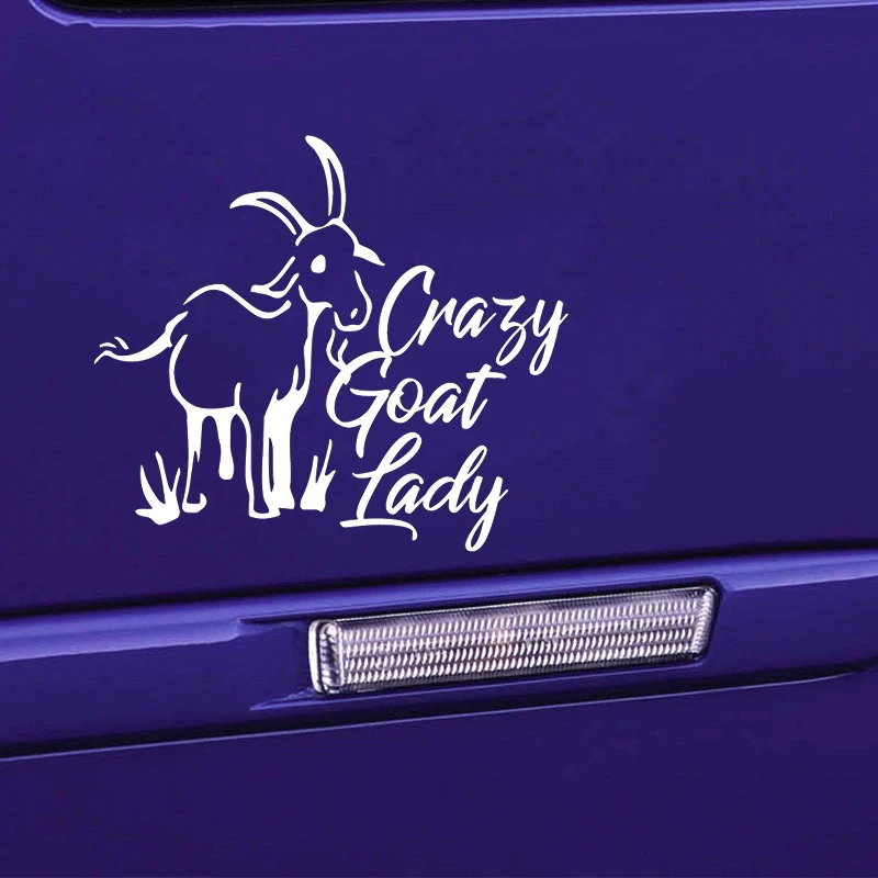 13*9 см Коза леди козы Дети наклейка безумно забавное окно бампер Новинка дрейф JDM