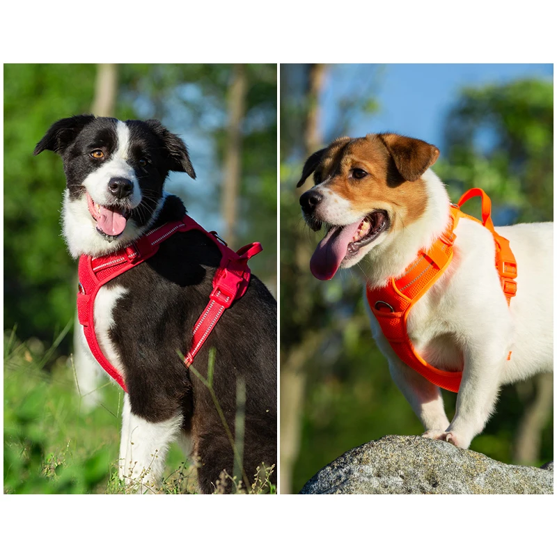 TRUELOVE Pet Жгут нейлоновый светоотражающий удобный и дышащий взрывозащищенный