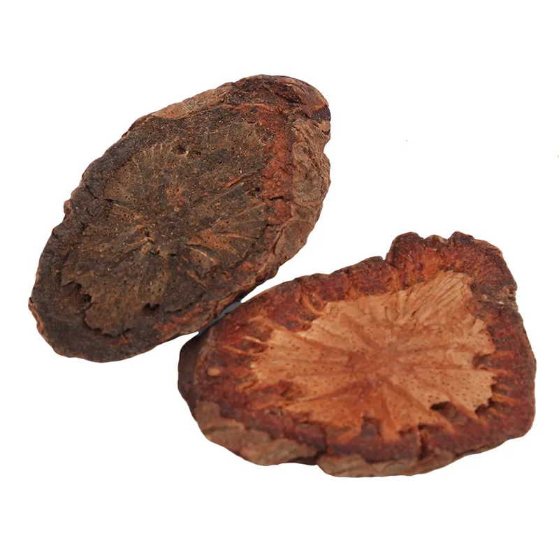 Искусственные растения Моделирование мульти типа природных ветвей желудь