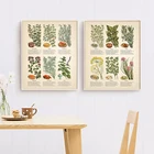 Винтажный растительный плакат с травами и пряностями, Картина на холсте, декор для кухни, травяные растения, художественные принты, настенные картины