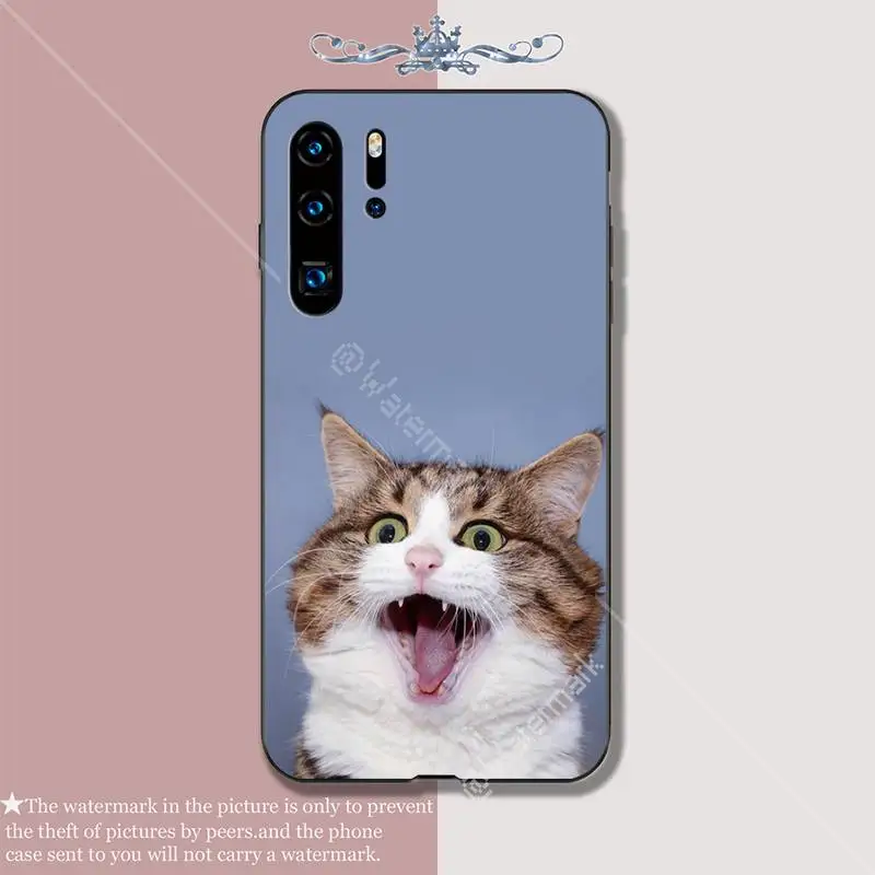 Забавный выражение кошка Роскошный чехол для мобильного телефона Huawei P 20 30 40 Lite Pro