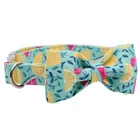 Ошейник и поводок для собак и кошек, зеленый лимонный хлопковый комплект с бабочкой, Регулируемая пряжка, ожерелье для домашних животных