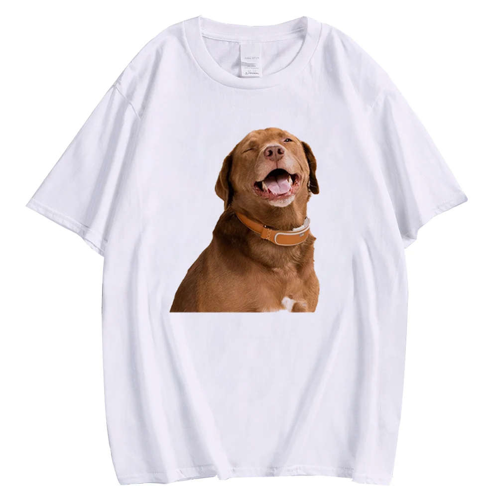 

CLOOCL Labrador Cotton T-shirt 3D Graphic Smiling Chocolate Labrador T-shirts Funny Animals Pullover Tops 100% Cotton Tees