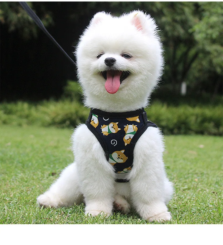 

Pet Dog Harness Small Dog Chain Teddy Vest Puppies Chest Strap Breathable Mesh Harness Leash Pet Set Outdoor Perro Walking Leads