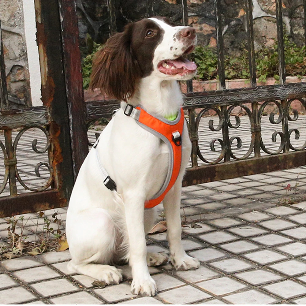 Новая Светоотражающая нейлоновая шлейка для собак любых погодных условий