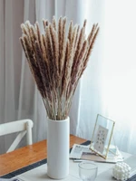 50pcs dried pampas grass decor natural dry flowers plants pink cheap good wedding bouquet new years room decoration accessories
