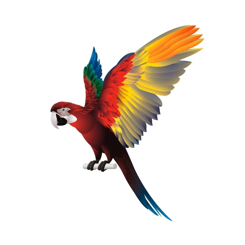 

Color Car Sticker Decals Parrot Bird Spread Wings Cover Scratches Bumper Window Bodywork Vinyl Interior KK16*13cm