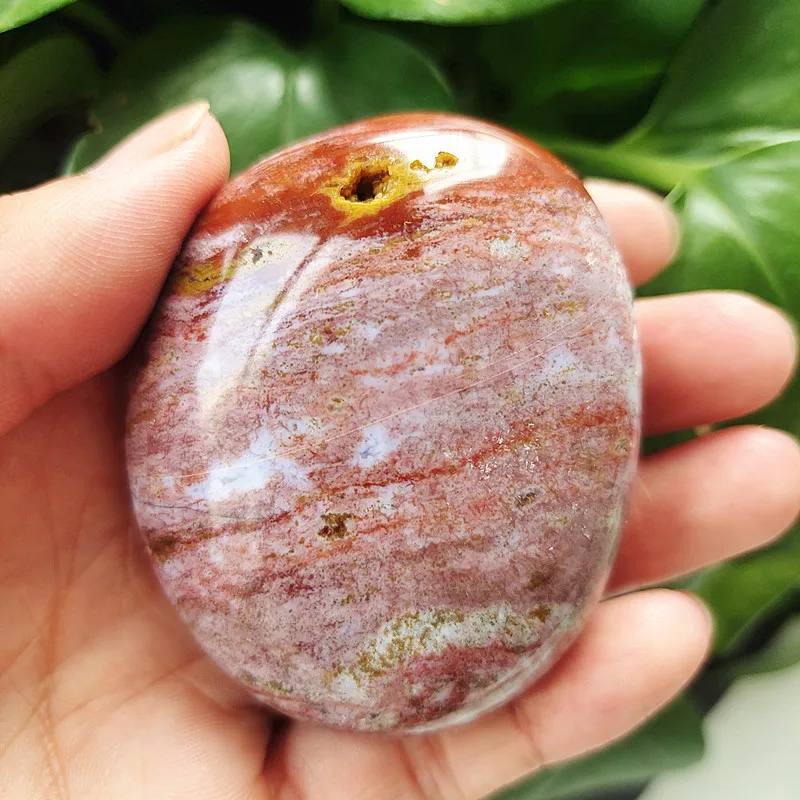 

Natural stonebeautiful Marine jasper palm healing crystals Decorative collection stones and crystals
