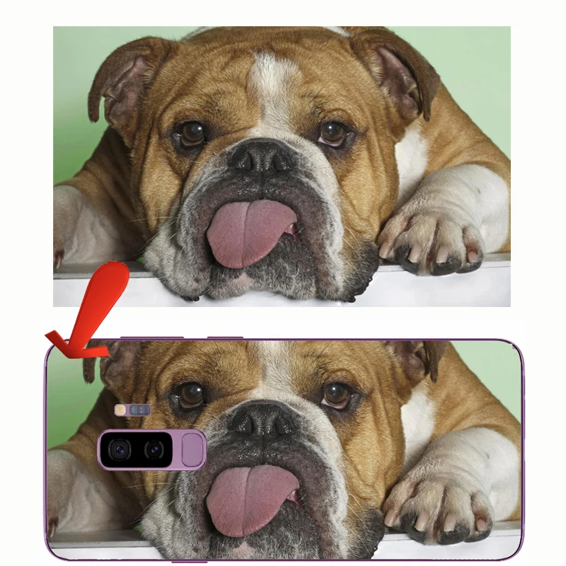 

Personal Customized Diy Phone Cases Covers Coque For Samsung Galaxy Note 20 10 9 S10 S9 S8 S20 FE S21 Plus Ultra A71 A51 5G