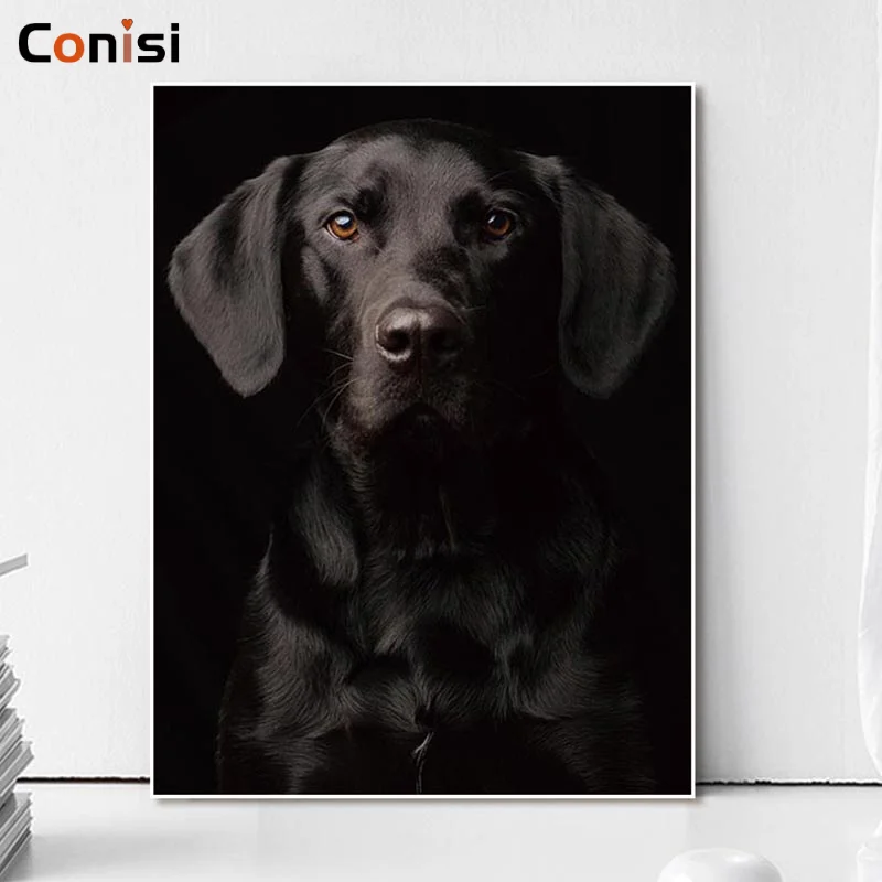 Conisi горячая Распродажа современные Животные Собака настенное искусство холст