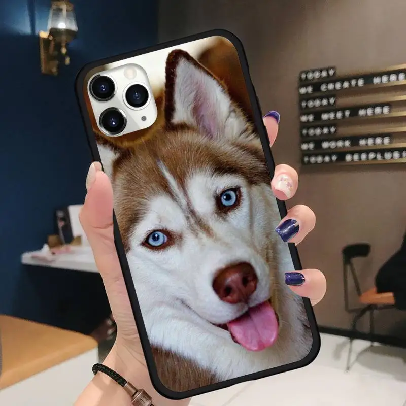 

Cute Husky dog lovely animal Phone Case for iPhone 11 12 pro XS MAX 8 7 6 6S Plus X 5S SE 2020 XR Soft silicone
