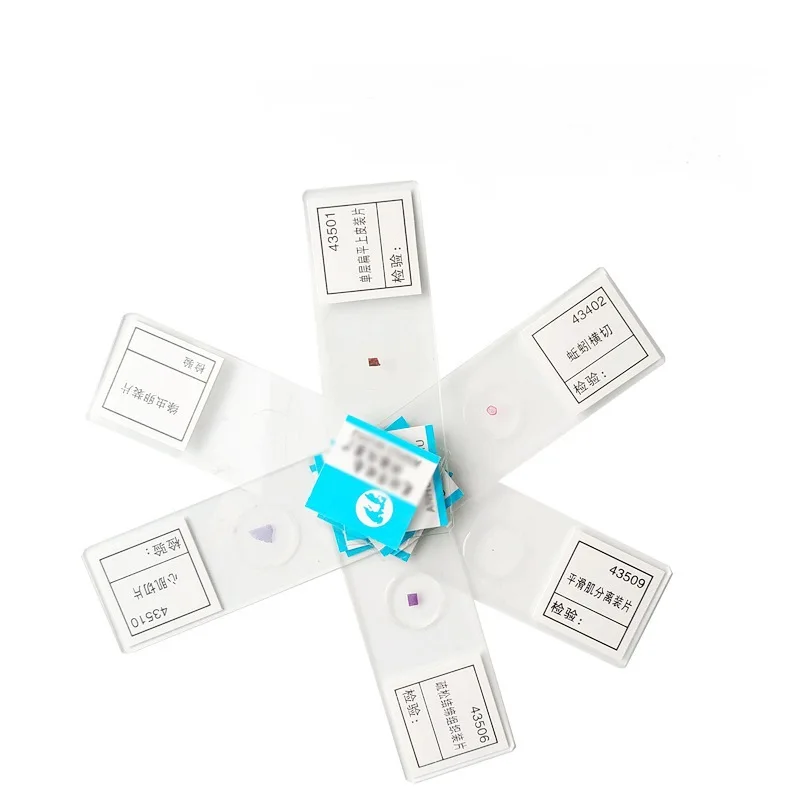 6 случайных кусочков биологических экспериментов Митоз растительных клеток