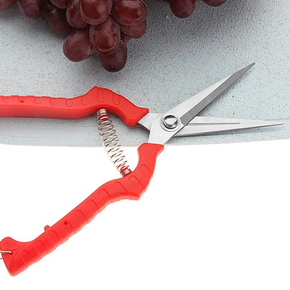 

Garden Pruning Shear Stainless Steel Scissors Gardening Plant Scissor Branch Hands Pruner Trimmer Tool for Tree/Flowers Trimming