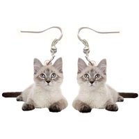 1 pair balinese cat acrylic earrings stainless steel jewelry charm gift girl fashion men charm earrings for women kpop earrings