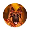 Изображение товара 5
