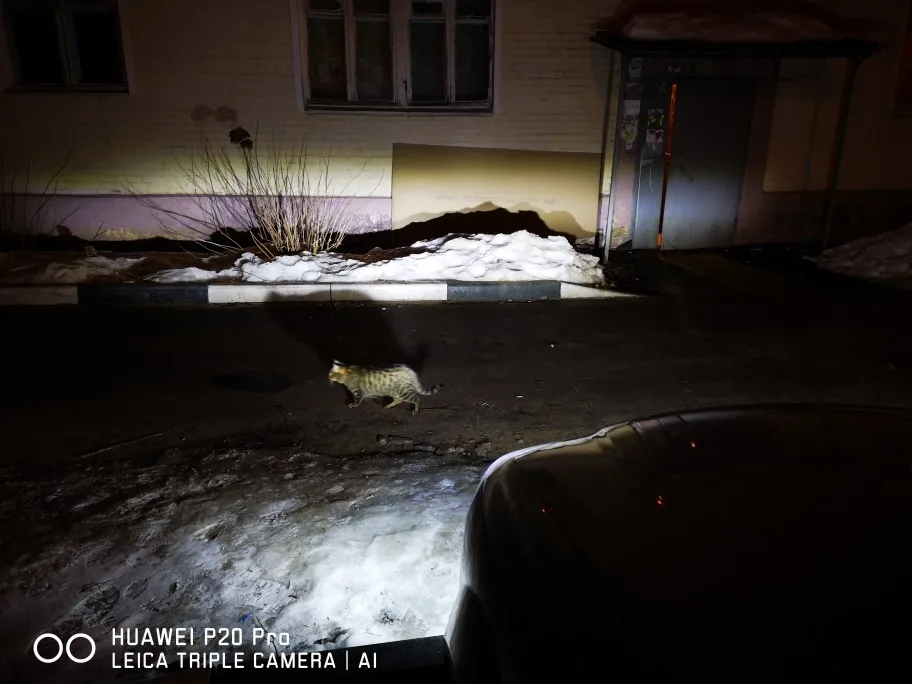 Передний бампер противотуманный светильник s для Daewoo Для Chevrolet Lacetti/Optra 4DR Buick Excelle Hrv 2003 2004~ 2007 противотуманная фара включает светильник