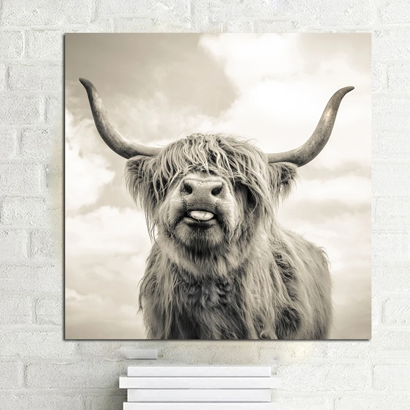 Черно-белый Highland Корова Крупный рогатого скота настенная Картина на холсте в