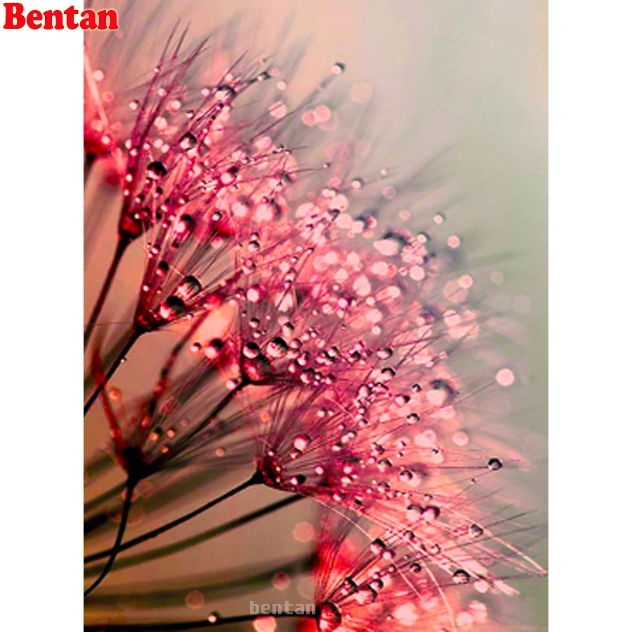 

5D алмазная картина полная дрель круглая квадратная Алмазная вышивка Одуванчик dewdrop красный цветок вышивка крестиком набор рукоделие ручна...