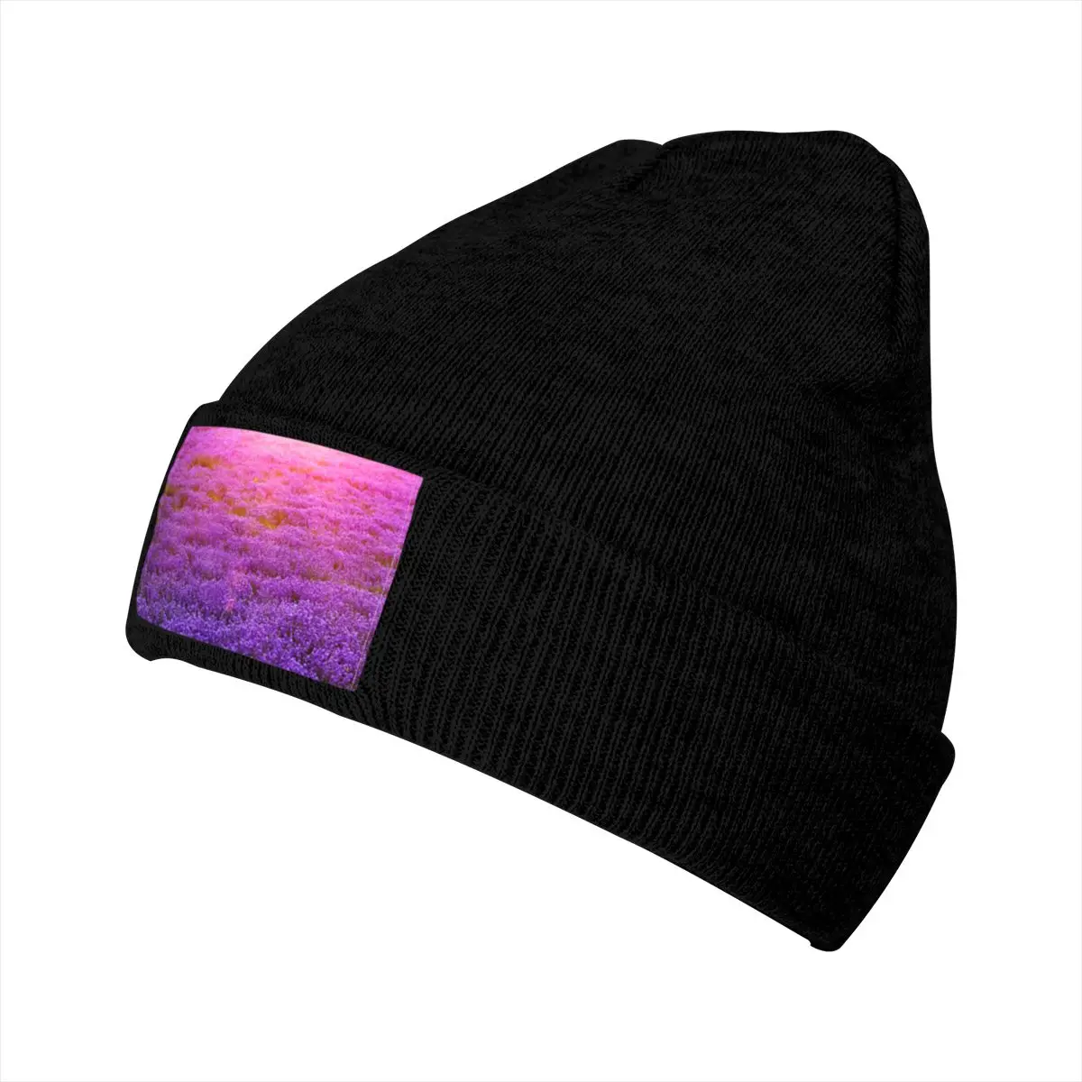 

Lavender A winter Men's clothing women hat Fashion bike caps warm caps