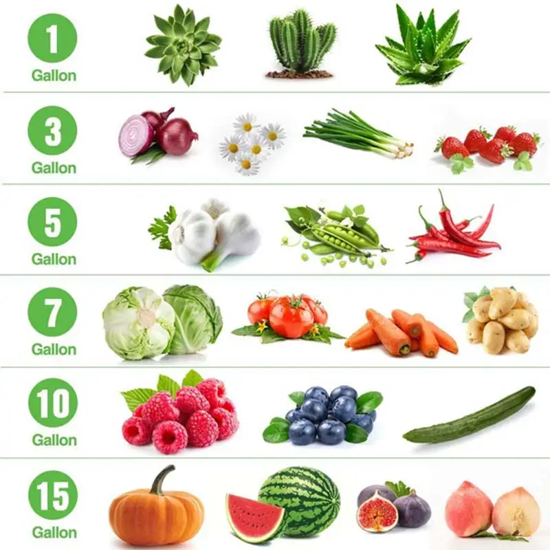 

5 Packs Plant Grow Bags Growing Bags Non-woven Fabric Aeration Pots With Handle Root Container 2/3/5/7/10/15Gallons