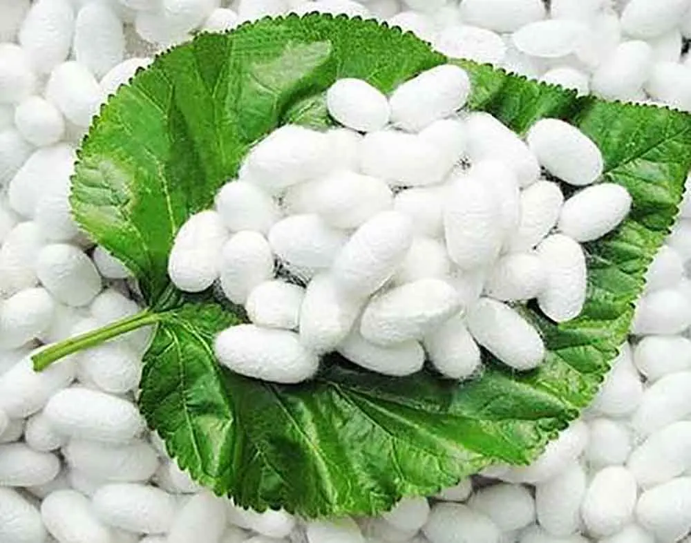 100% чистая шелковая ткань 19 мм однотонные шармёзные ткани ограненные 1 ярд для