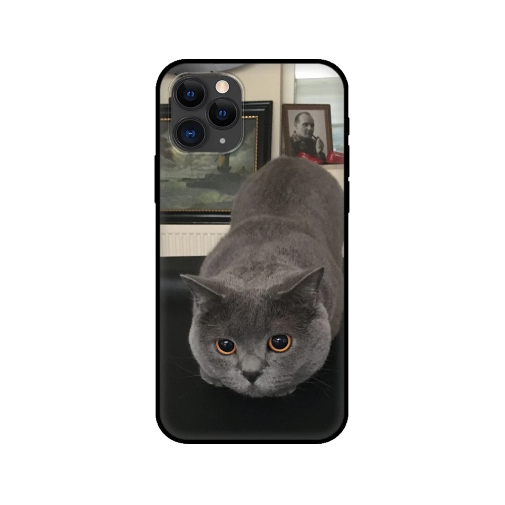Черный чехол из ТПУ для iphone 5 5s se 6 6s 7 8 plus x 10 XR XS 11 pro MAX с изображением британского