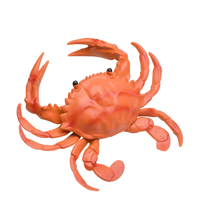 

Simulation Lobster Crab Simulation Model Soft Rubber Squeak Pinch Science And Education Cognitive Scene Prop Decoration Toy