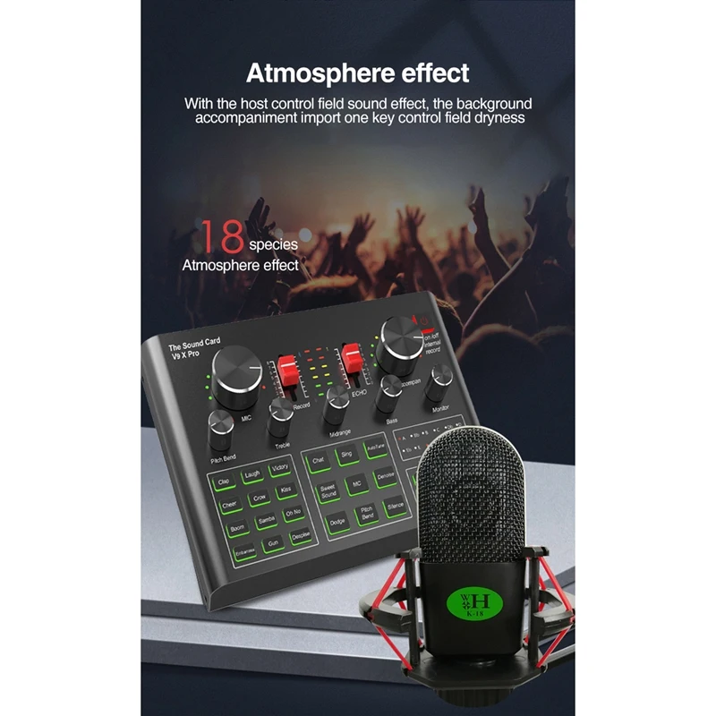 

K18 Condenser Microphone Set with V9X PRO Live Sound Card, for Computer Karaoke Studio Recording