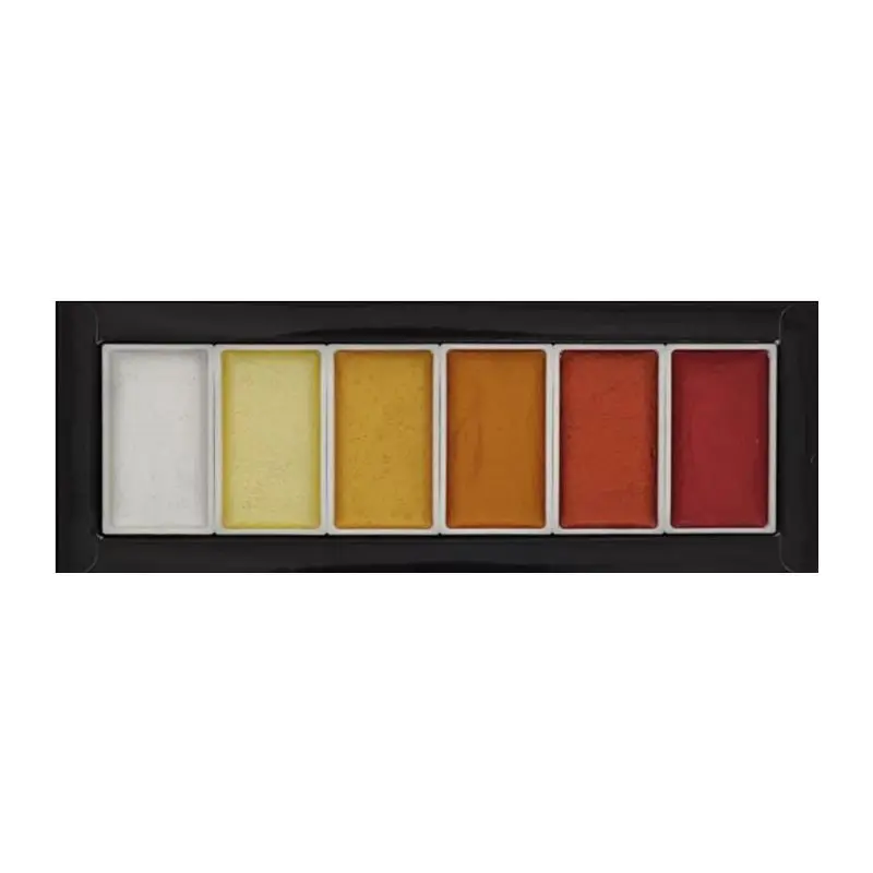

6 Colors Cool Warm Metallic Watercolor Paint Set for artist Drawing Pigment Art X3UE