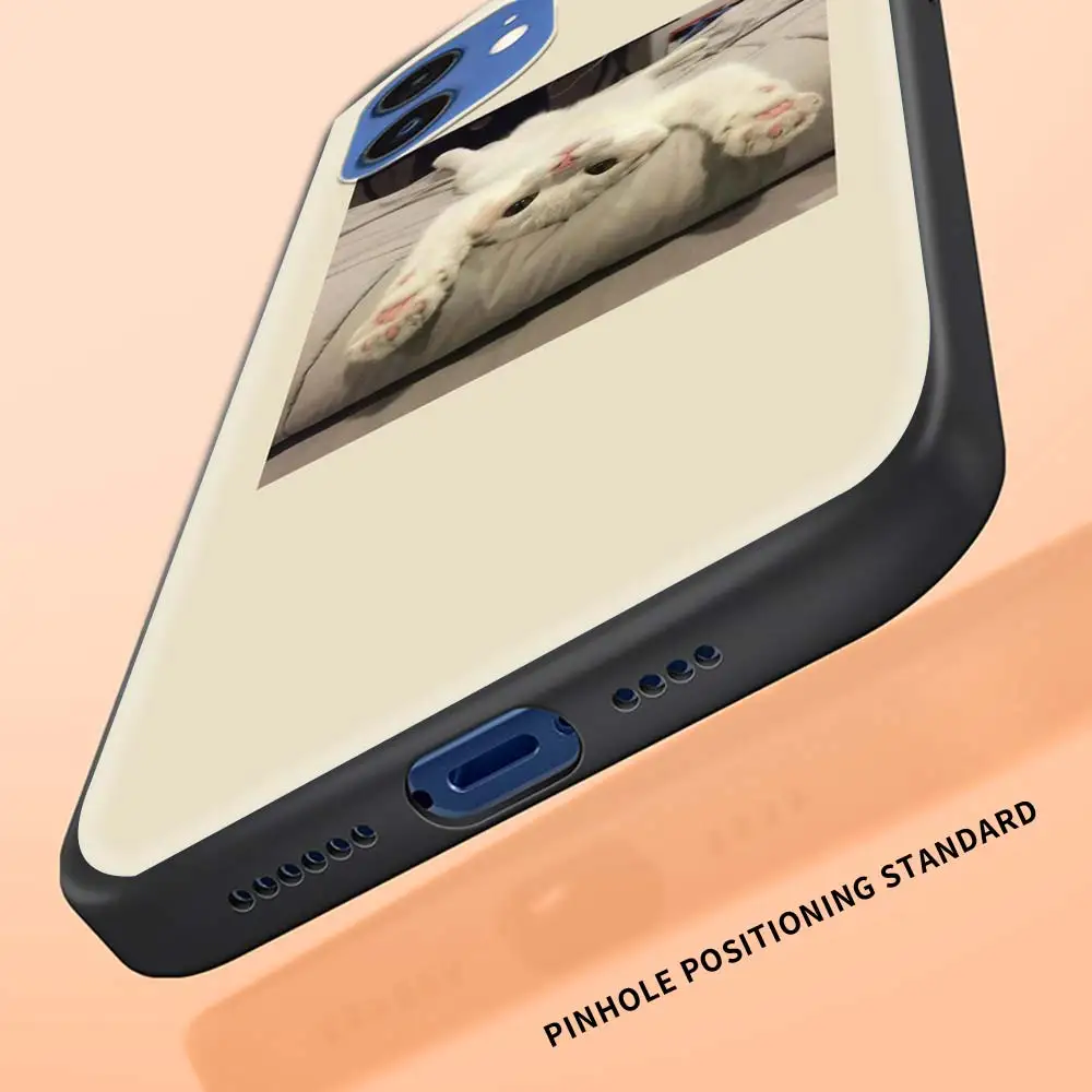 

Case For iPhone 11 Pro Shell For iphone 12 Pro Max 7 8 Plus SE 2020 X XR XS MAX Black Phone Cover Cute cat fashion