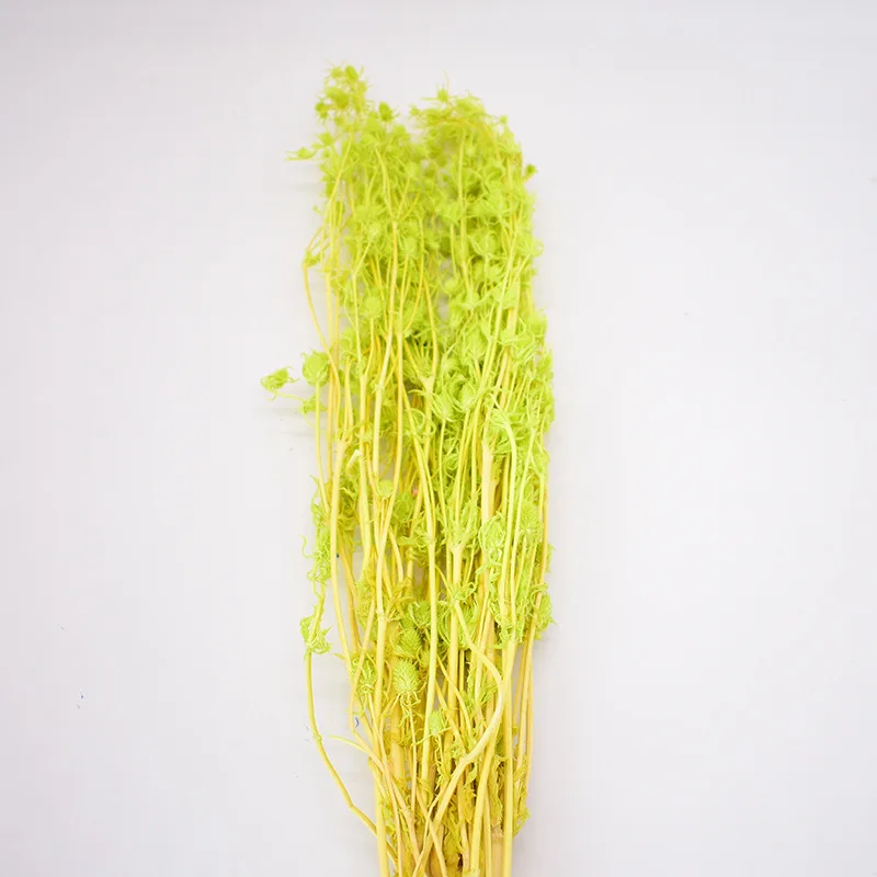 

Vivid Dried Flowers Valentine Fruit Bouquet Preserve Floral For DIY Wedding Christmas Home Party Decor Supplies Natural Plants