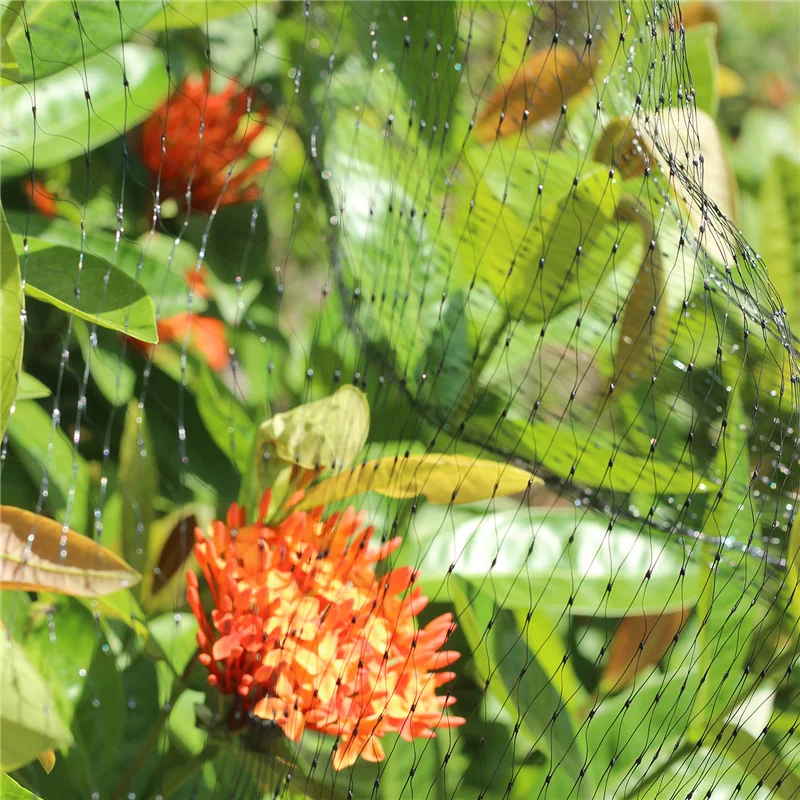 

Plant Protective Net with 2cm Mesh Durable Foldable Convenient Long Lasting Reusable Easy to Install for Garden DC156