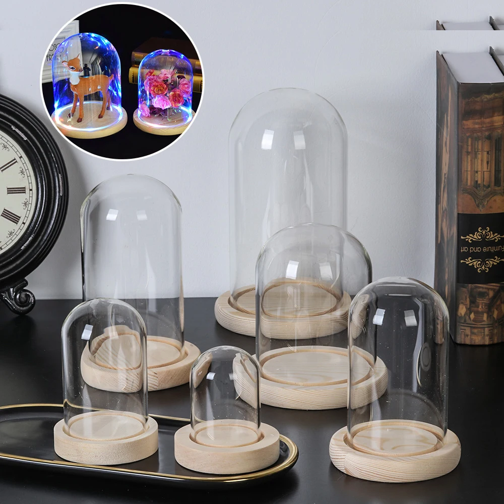 

Terrarium Bottle with Wooden Base Acrylic Dust Cover Glass Cloche Jar Display Stand Cover Display Box Immortal Flower Box