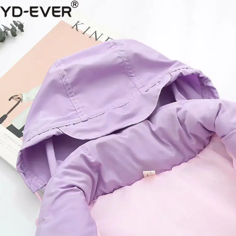 Женская зимняя куртка бомбер с капюшоном в стиле Харадзюку|Женские куртки| |