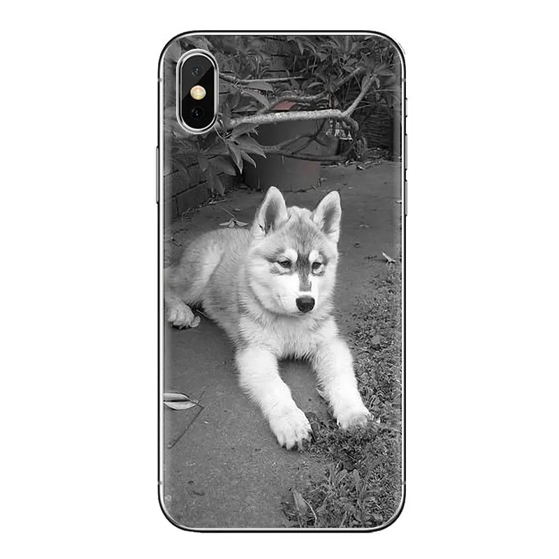 Чехол из ТПУ с изображением игрушечная Лайка щенков Сибирского собак для iPhone XS Max